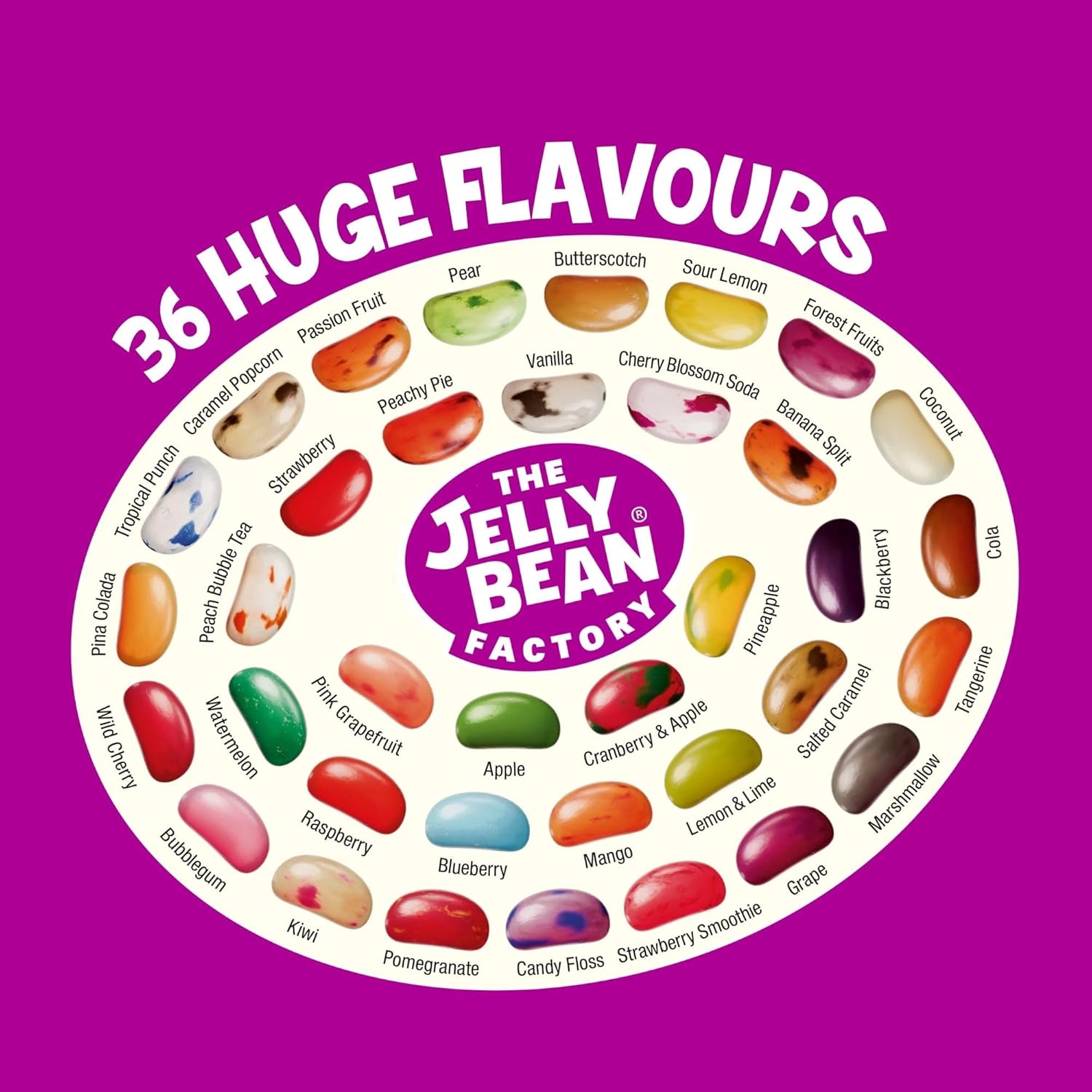 The Jelly Bean Factory, Jelly Beans Gift 1.4 KG Tub, Bulk Gluten Free Sweets - 36 Natural, Huge Flavour Fruit Jellies, Chewy, Retro American Sweets for Kids, Adults - Gourmet Pick and Mix Jellybeans